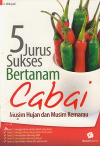 5 jurus suksese bertanam cabai musim hujan dan musim kemarau