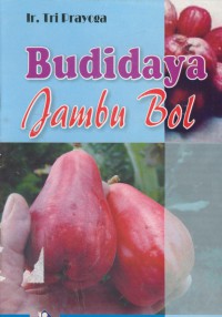 Budidaya jambu bol