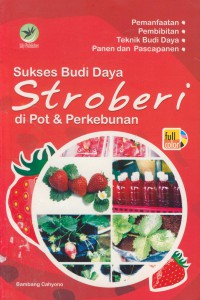 Sukses budi daya stroberi di pot & perkebunan