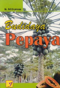 Budidaya pepaya