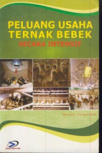 Peluang usaha ternak bebek secara intensif