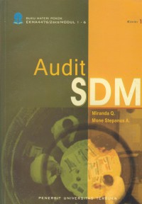 Materi pokok audit SDM