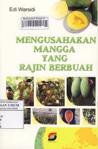 Mengusahakan Mangga Yang Rajin Berbuah